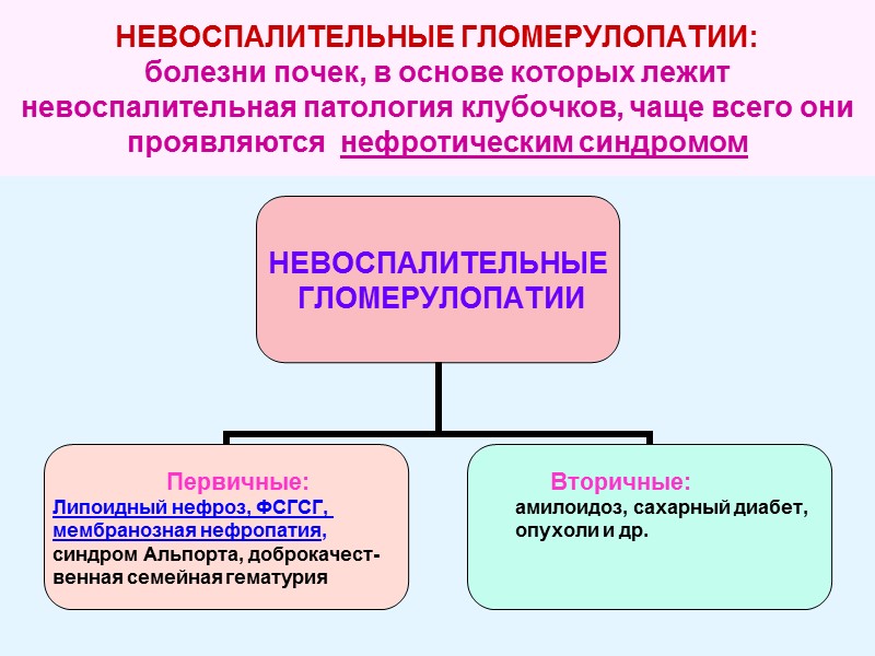 НЕВОСПАЛИТЕЛЬНЫЕ ГЛОМЕРУЛОПАТИИ: болезни почек, в основе которых лежит невоспалительная патология клубочков, чаще всего они